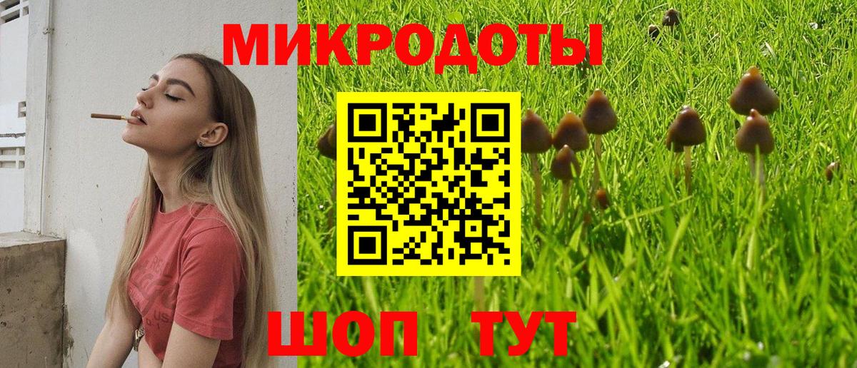 Азнакаево  Галлюциногенные грибы GOLDEN TEACHER  Вход с VPN 