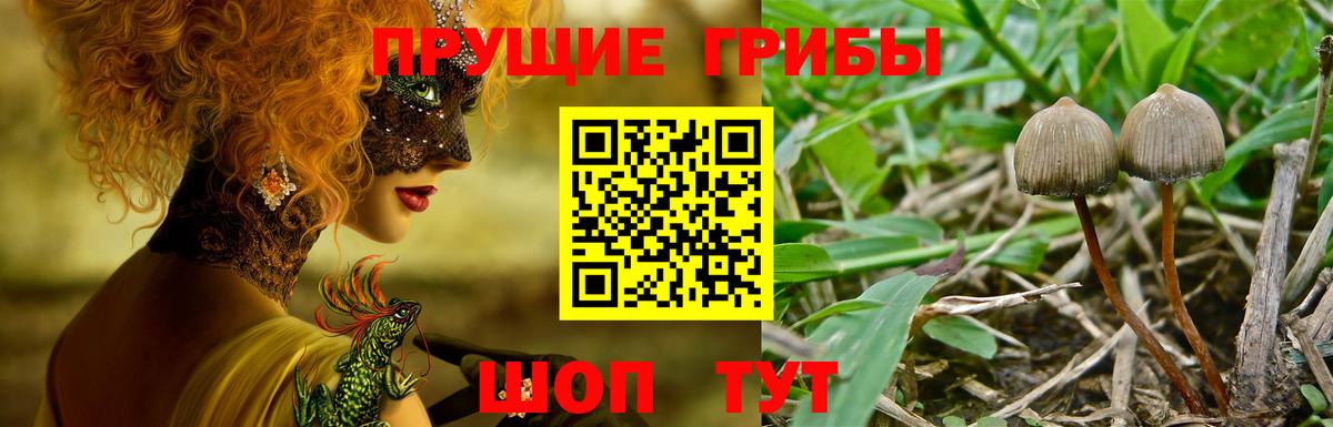 Галлюциногенные грибы MAGIC MUSHROOMS Азнакаево